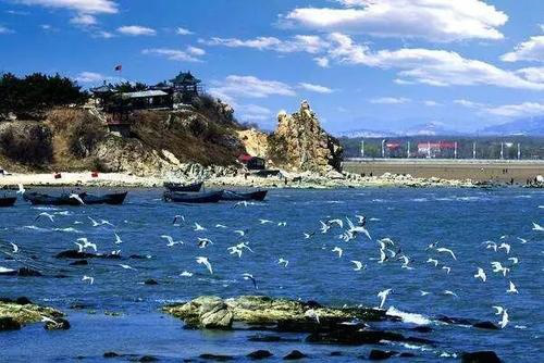 杭州客運中心網上購票 | 你需要知道的所有信息